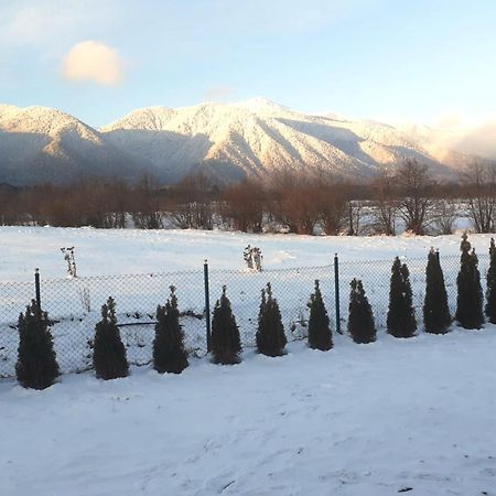 Villa Letizia Near The Pirin Golf Resort Bansko Bagian luar foto