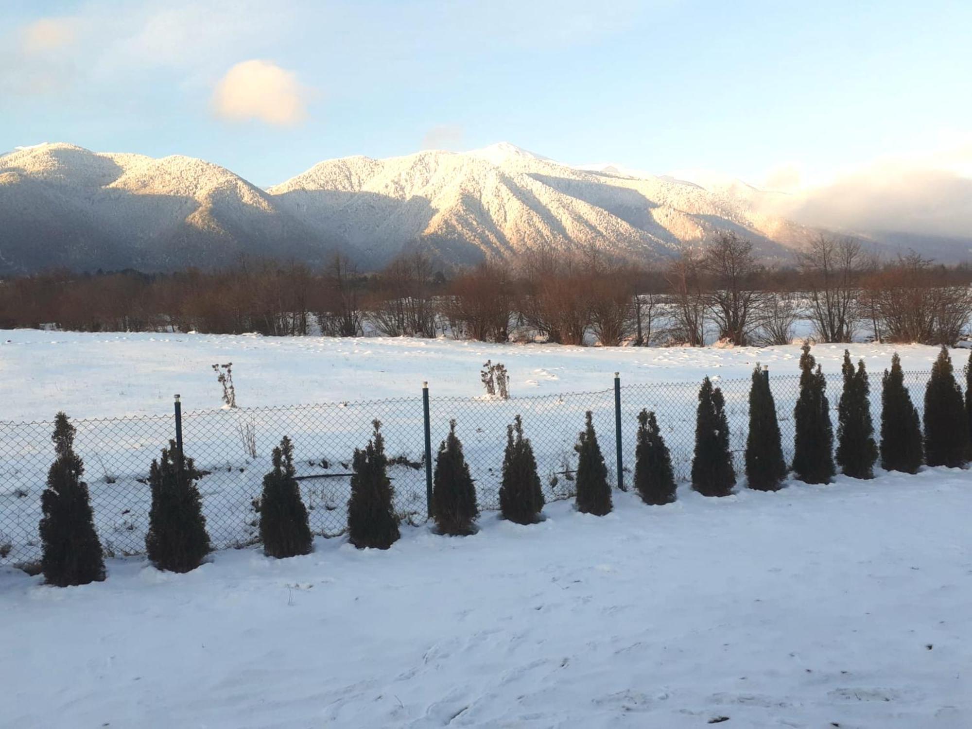 Villa Letizia Near The Pirin Golf Resort Bansko Bagian luar foto